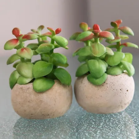 Casa Grande Appartement *