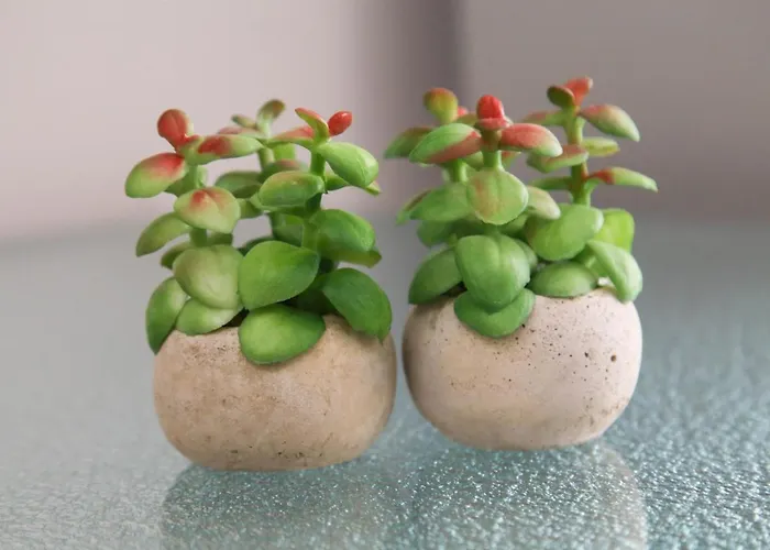 Casa Grande Apartament *